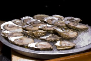 Oysters