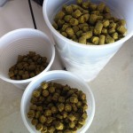 Some of our hops