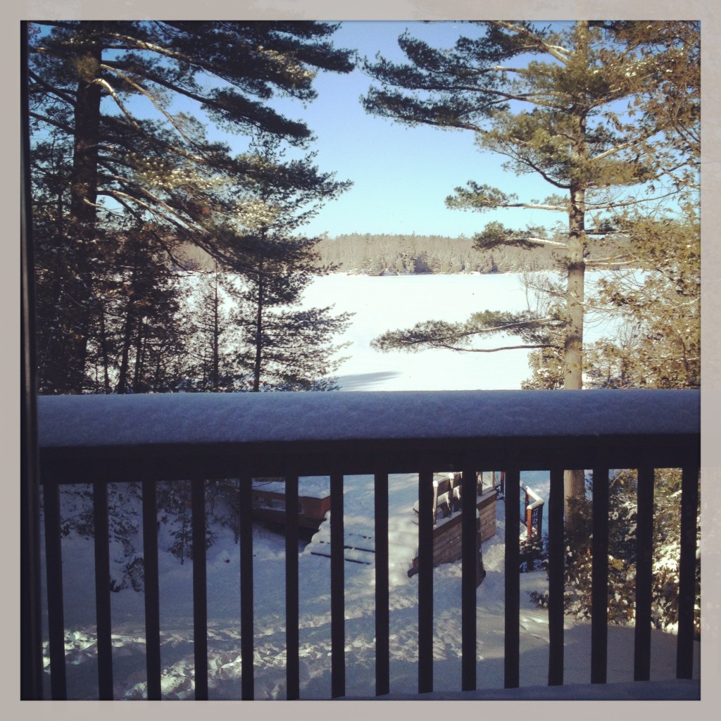 My view for New Year's