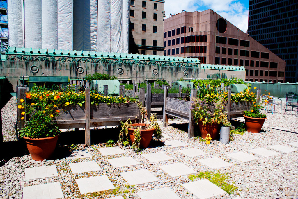 The Royal York roof-top garden